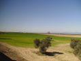Campo