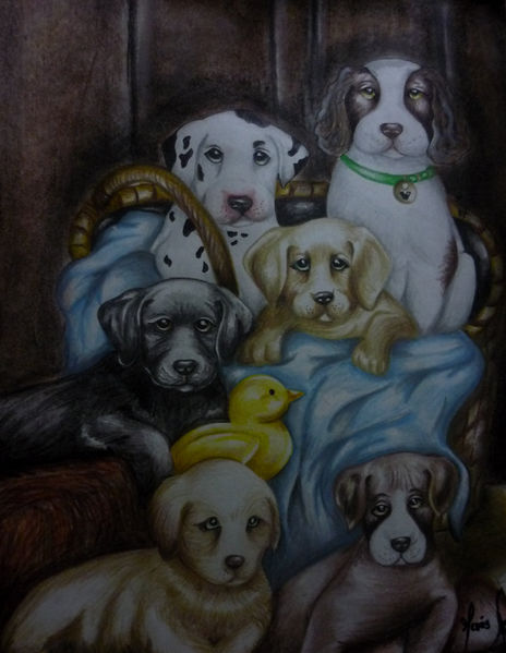 Perros de granja