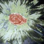 EXPERIMENTACIÓN thumbnail 1