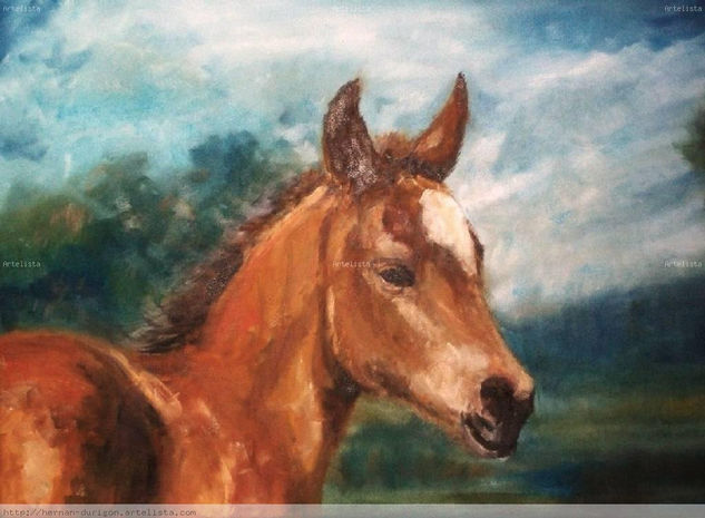 brisa Oil Canvas Animals