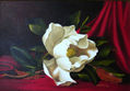 Magnolias