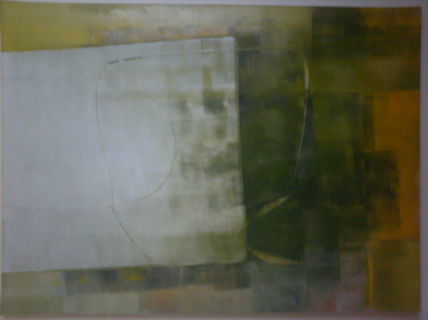 Transparencia 9