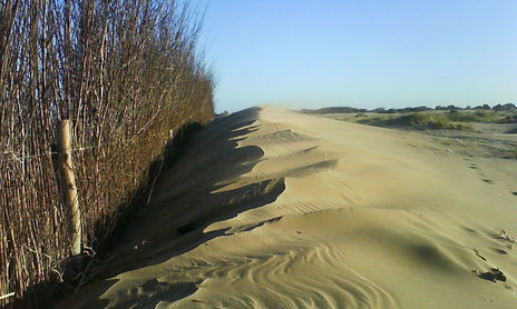 febrero 2009