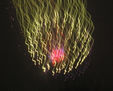 focs_1