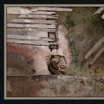 Restos thumbnail 1
