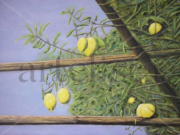 LIMONERO