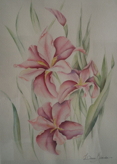 Iris "Top Notch" Watercolour Paper Floral Painting