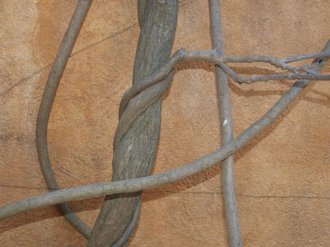 Abstracion