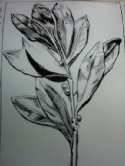 FLOR Charcoal