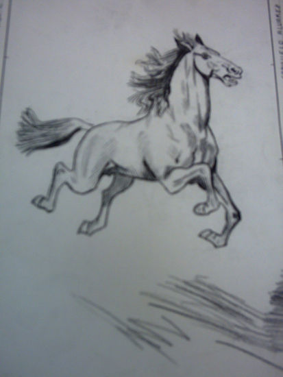 CABALLO Charcoal