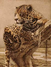 Leopardo