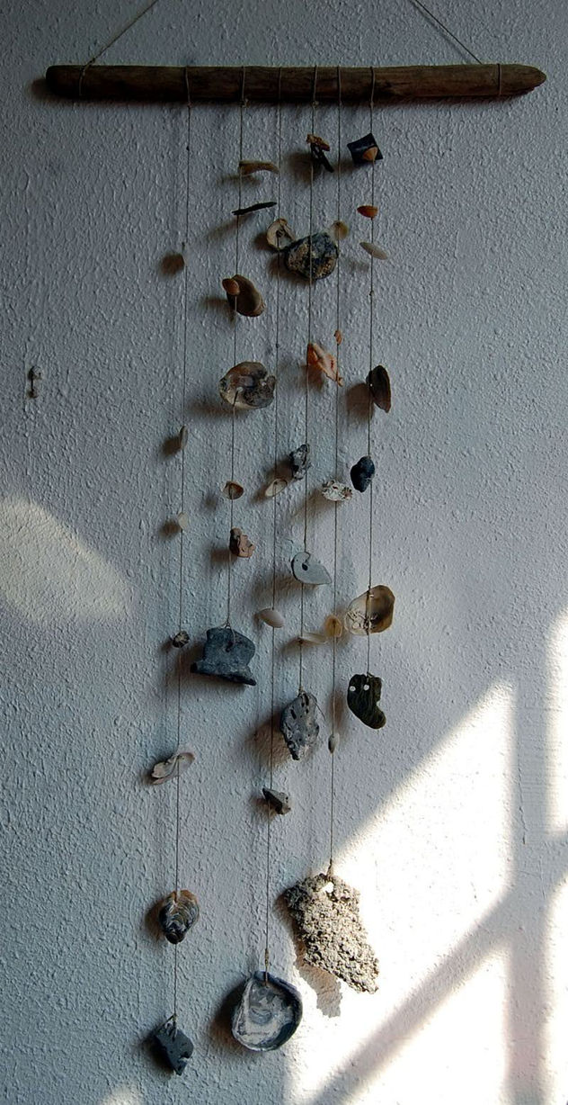 coquillage et pierre