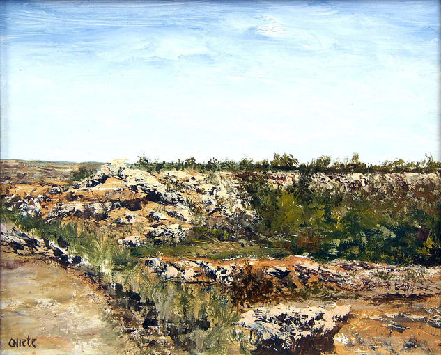 Tierras de tomillos Oil Canvas