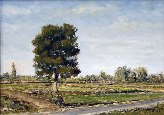 Tierras de labor