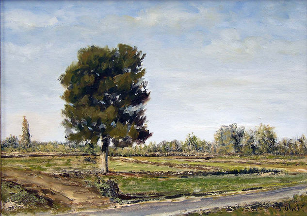 Tierras de labor Oil Canvas