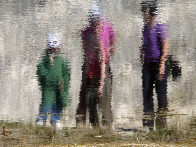 REFLEJOS