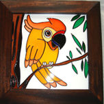 PAJAROS thumbnail 2