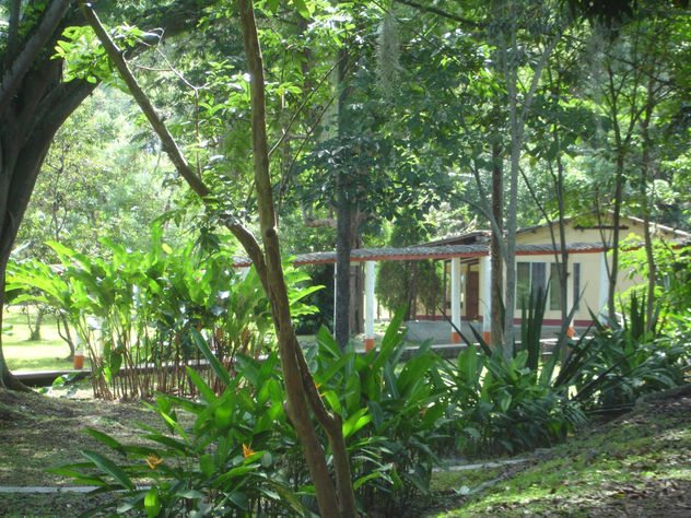 Un Agradable Rincón Campestre
