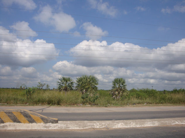 ENTRE EL CAMPO Y LA CIUDAD 