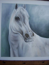 Caballo blanco