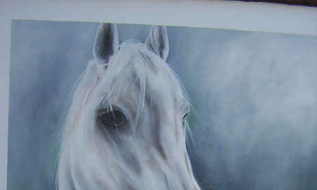 caballos