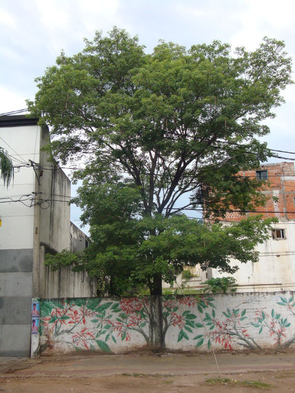 Un muro con vida