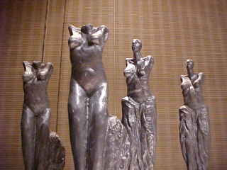mujer  plata