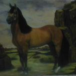 serie caballos thumbnail 1