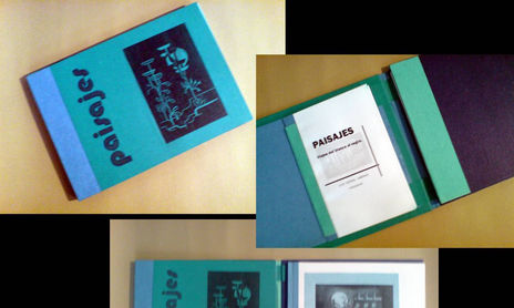 LIBRO DE ARTISTA