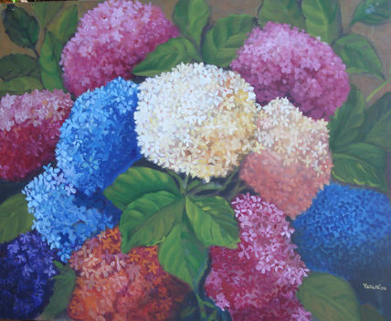 Hortensias
