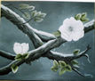 Flores 1