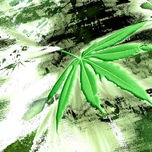 digital thumbnail 1