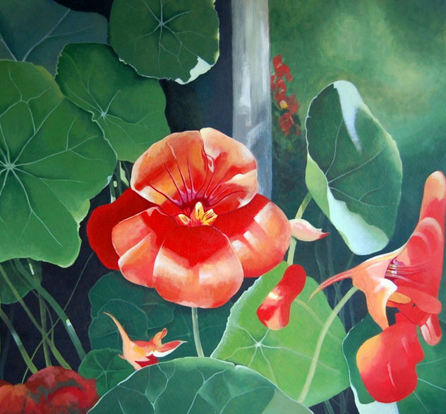 Nasturtiums at Frogmore 2009