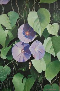 Morning Glory 2009