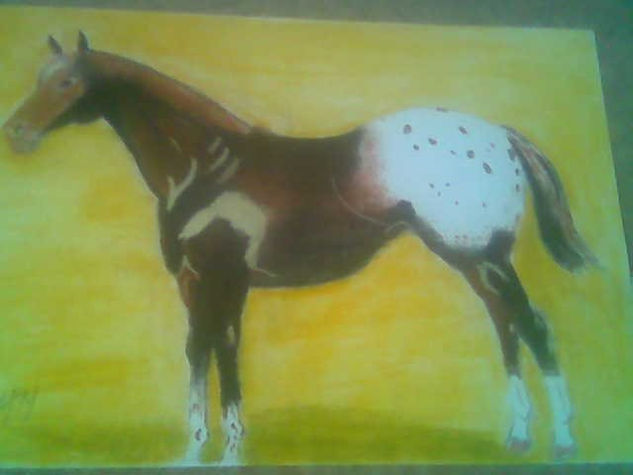 CABALLO APALOOSA 