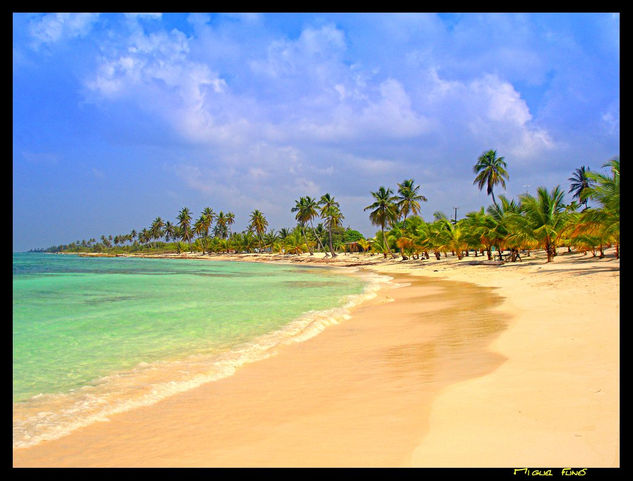 Playa Mano Juan -Isla Saona Viajes Color (Digital)