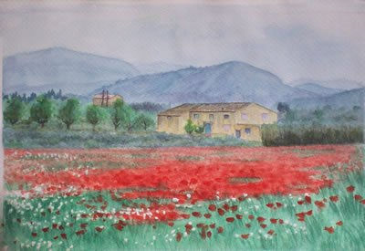 Amapolas Acuarela Papel Paisaje