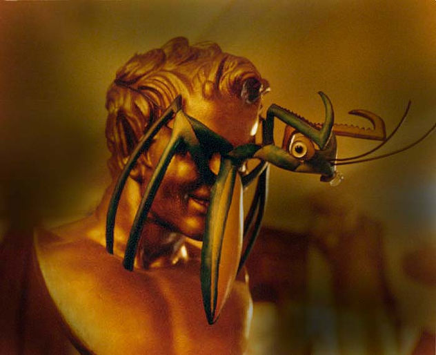 mantis