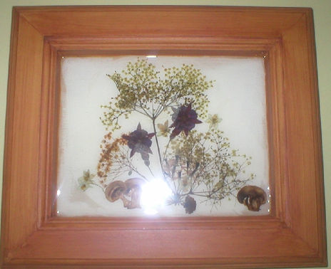 Naturaleza