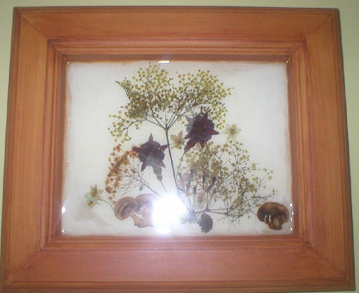 Naturaleza Decoración Varios