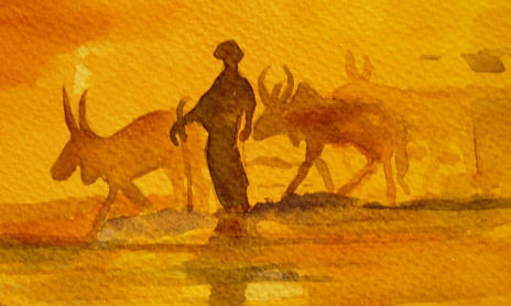 DESERT