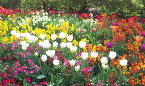Jardines urbanos