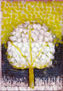 arbol 12