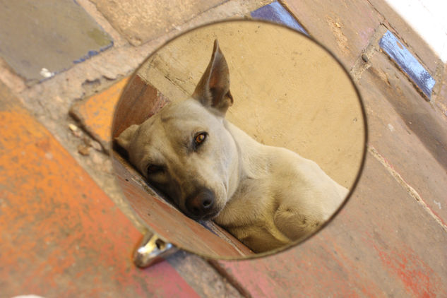 edgar 6 