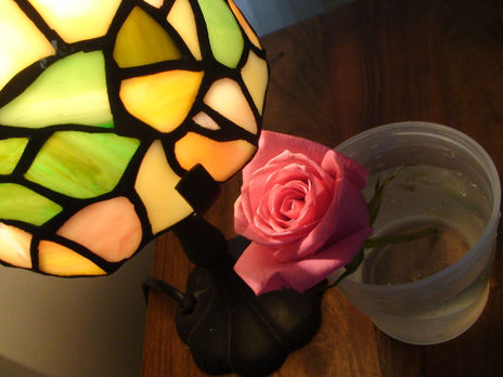 La rosa y el vitral.