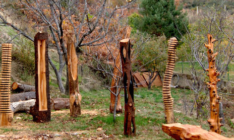 la luz del bosque