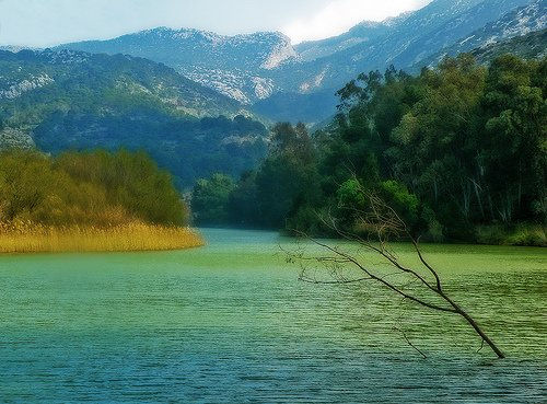 Relax en el lago 