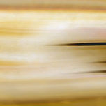 PIEL thumbnail 1