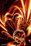 All the fires, Todos los Fuegos