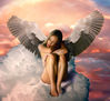 angel of the twilight